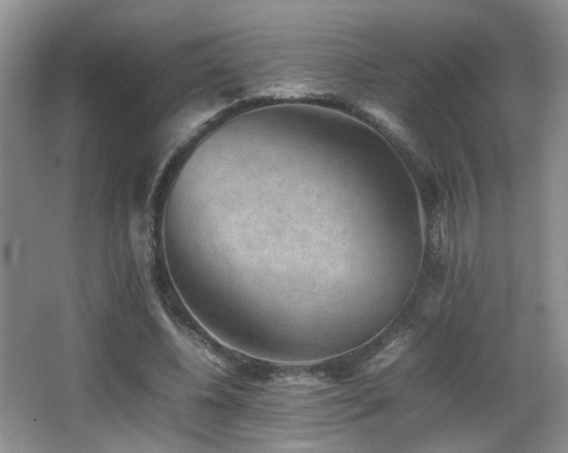 X0000065980540200603031157