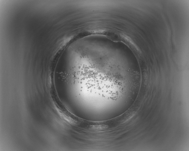 X0000065980541200603031157