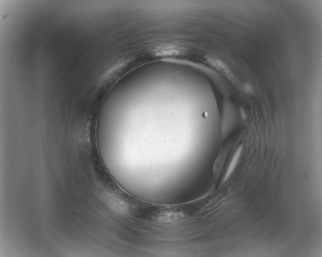 X0000065980543200603031157