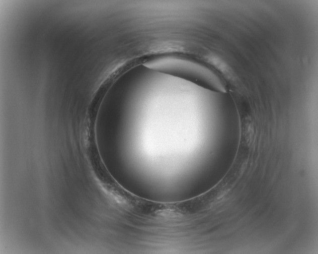 X0000065980544200603031157