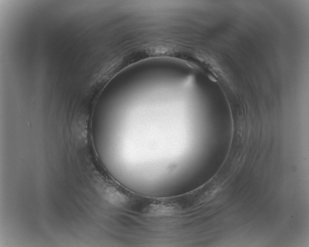 X0000065980545200603031157