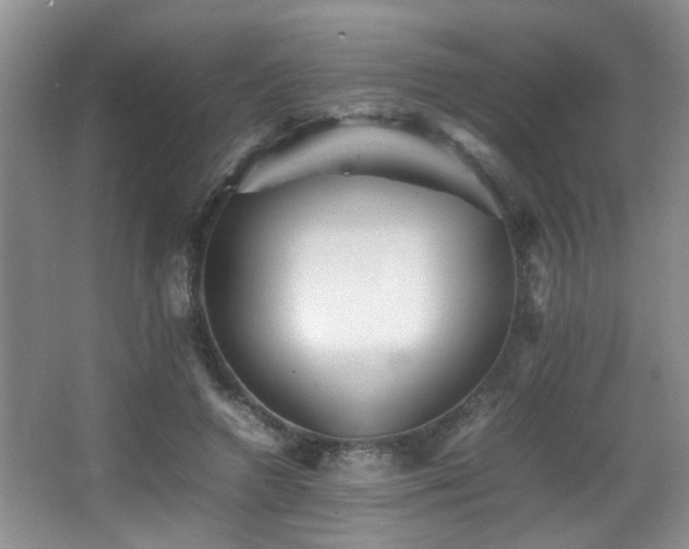 X0000065980546200603031157