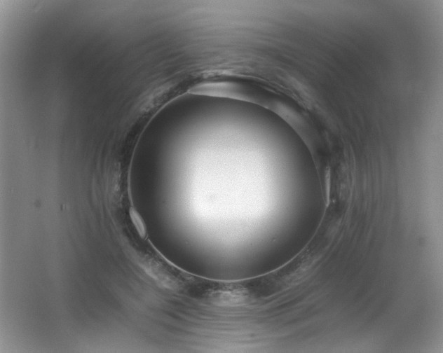 X0000065980548200603031157