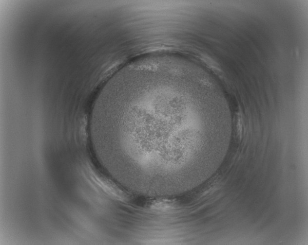 X0000065980550200603031157