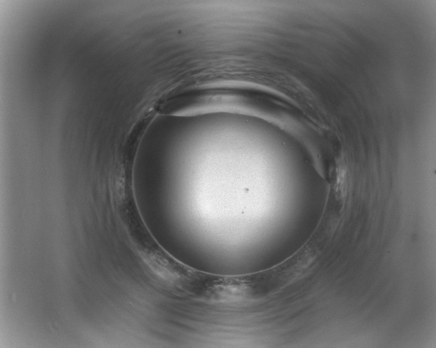 X0000065980552200603031157