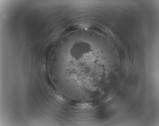 X0000065980553200603031157