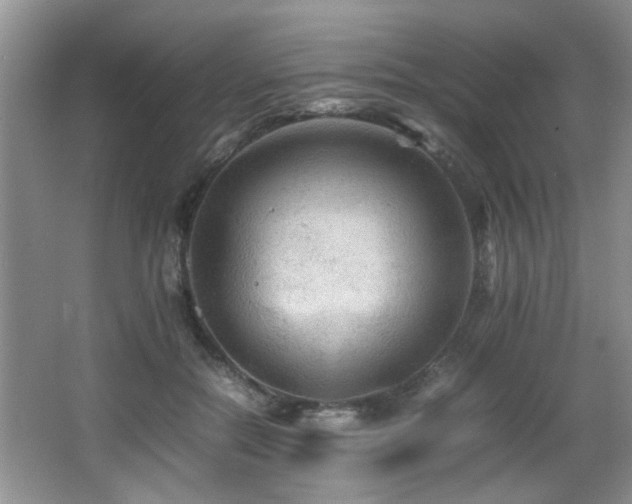 X0000065980554200603031157