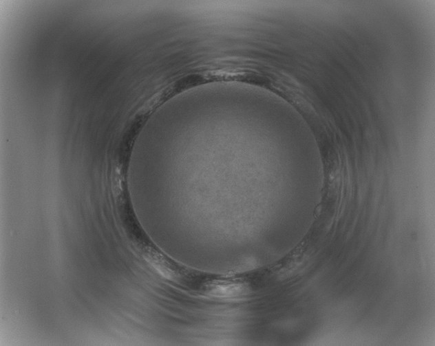 X0000065980555200603031157