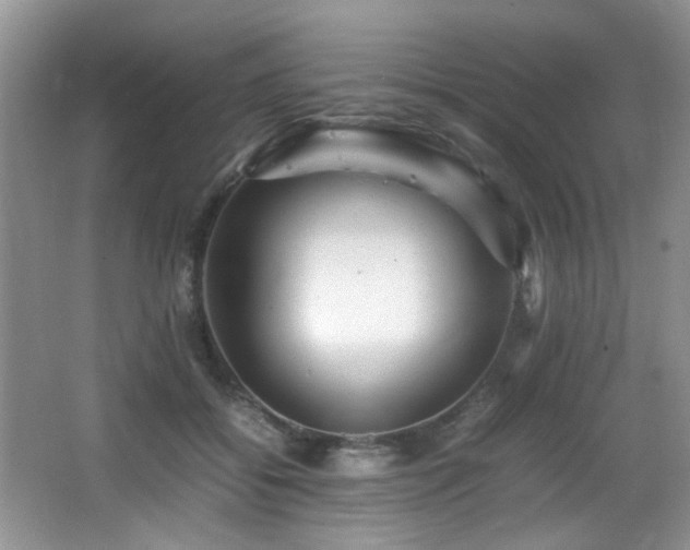 X0000065980556200603031157