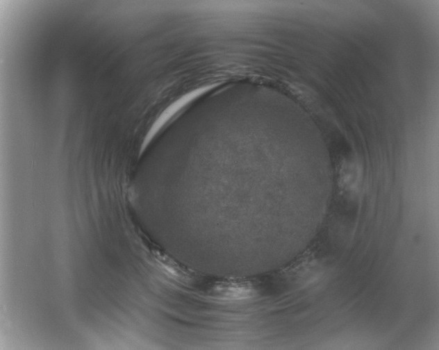 X0000065980559200603031157