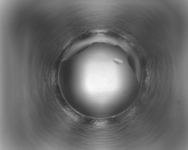 X0000065980560200603031157