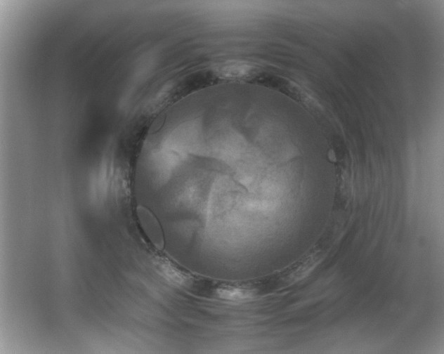 X0000065980561200603031157