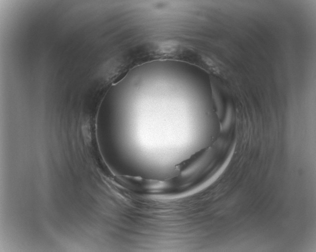 X0000065980562200603031157