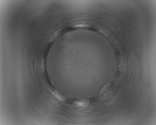 X0000065980563200603031157