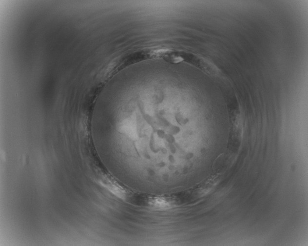 X0000065980565200603031157