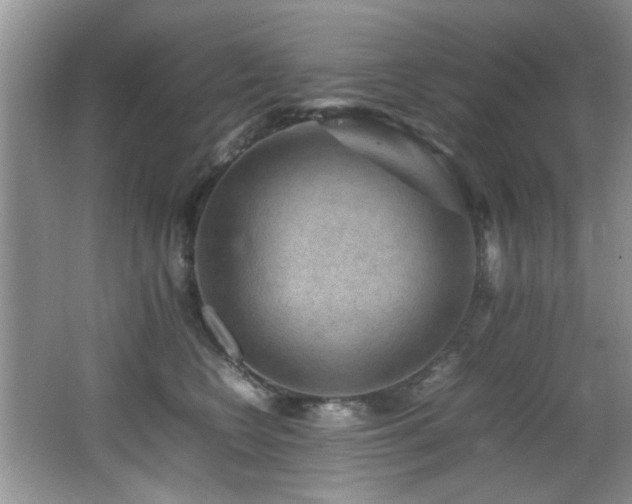 X0000065980566200603031158