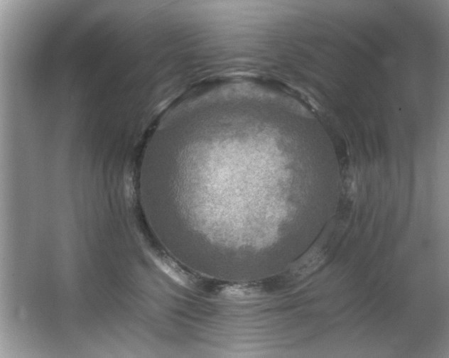 X0000065980568200603031158