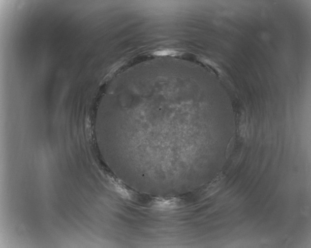 X0000065980569200603031158