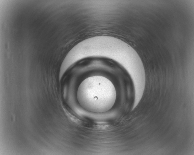 X0000065980570200603031158