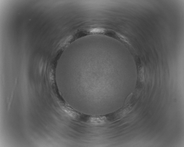 X0000065980571200603031158