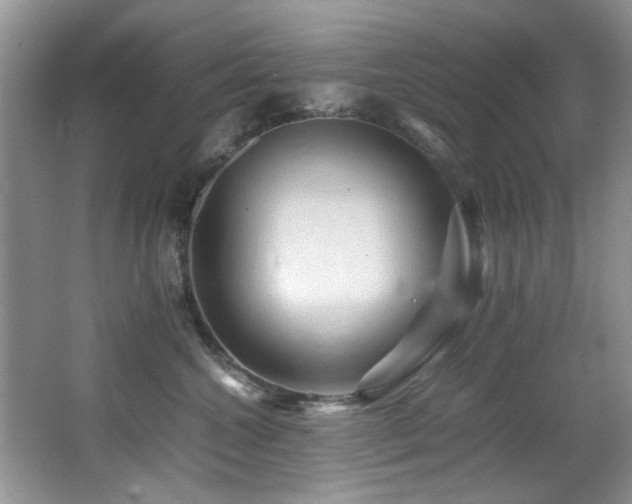 X0000065980572200603031158