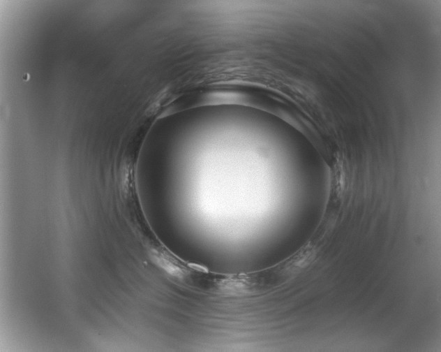 X0000065980574200603031158