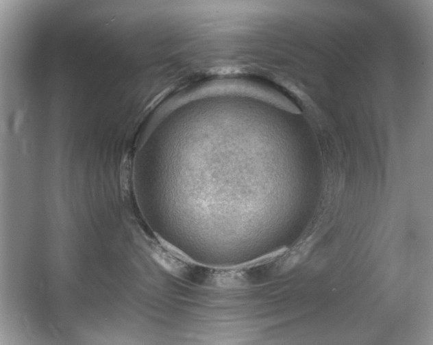 X0000065980576200603031158