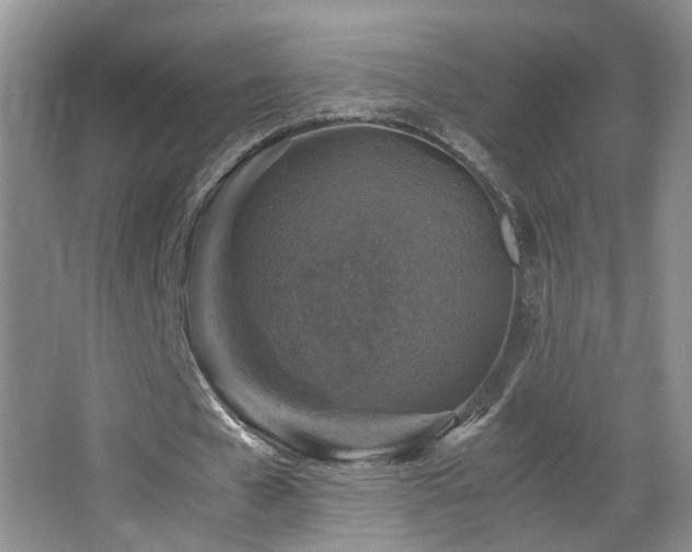 X0000065980577200603031157