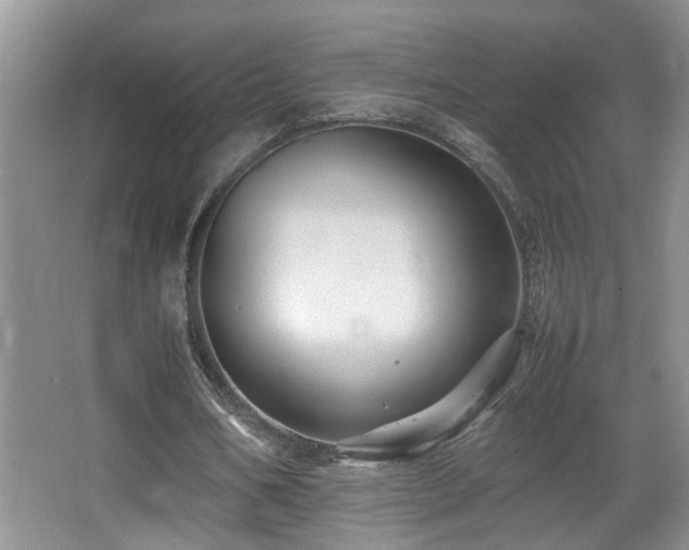 X0000065980578200603031157