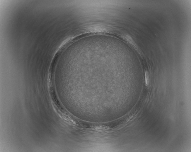 X0000065980579200603031157