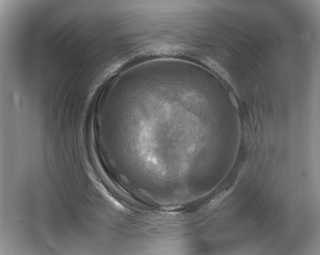 X0000065980581200603031157