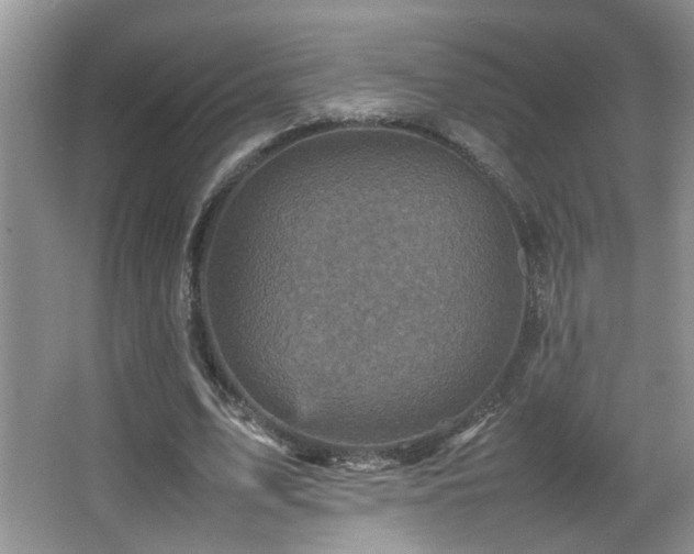 X0000065980583200603031157