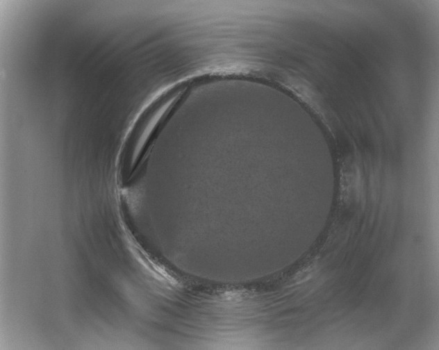 X0000065980584200603031157