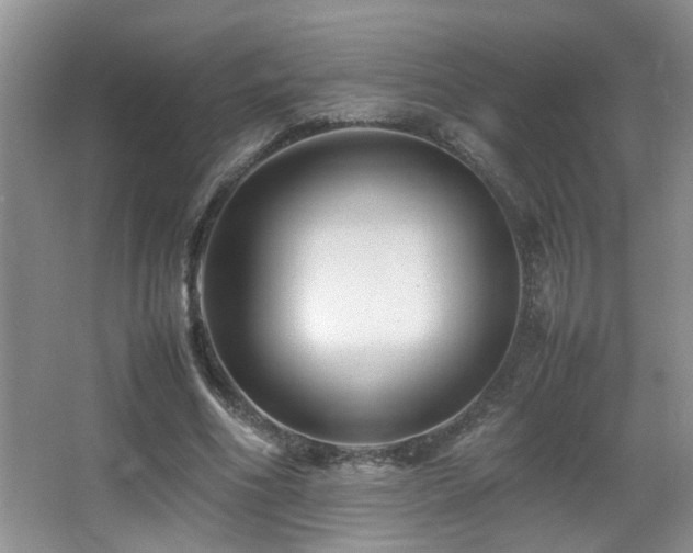 X0000065980586200603031157