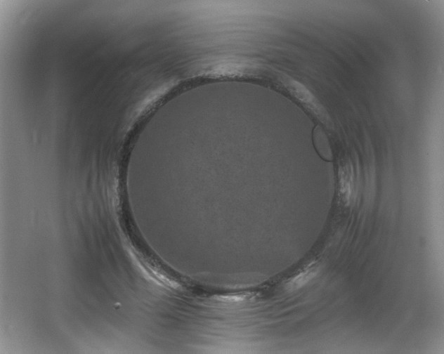 X0000065980588200603031157