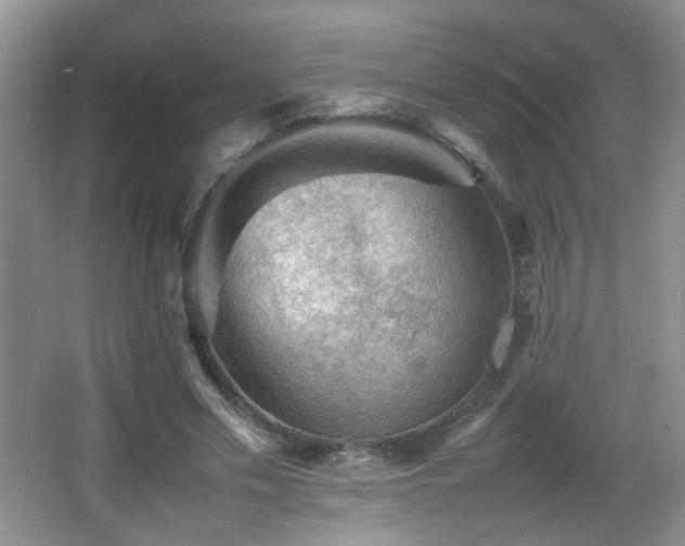 X0000065980589200603031157