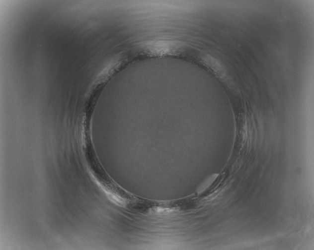 X0000065980590200603031157