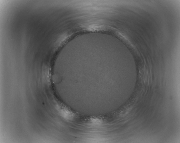 X0000065980592200603031157