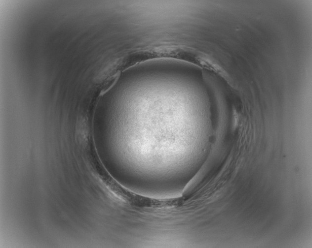 X0000065980593200603031157