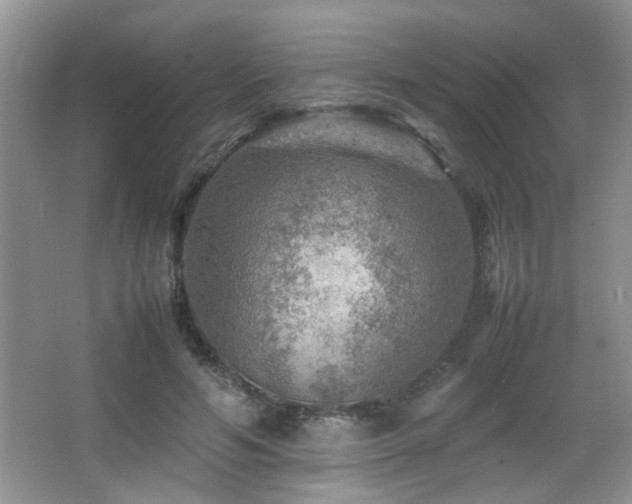 X0000065980594200603031157