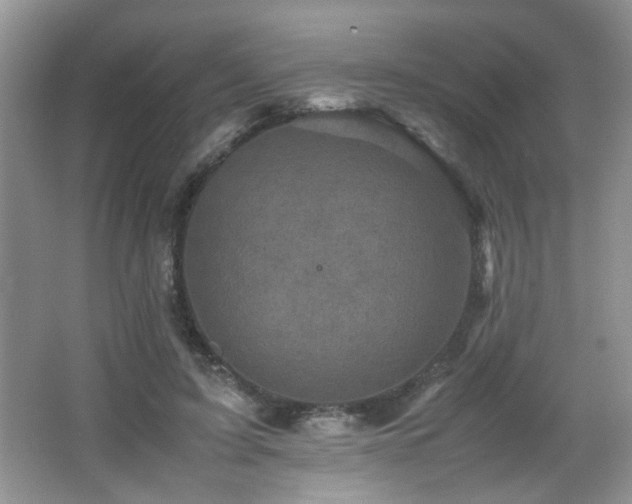 X0000065980595200603031157