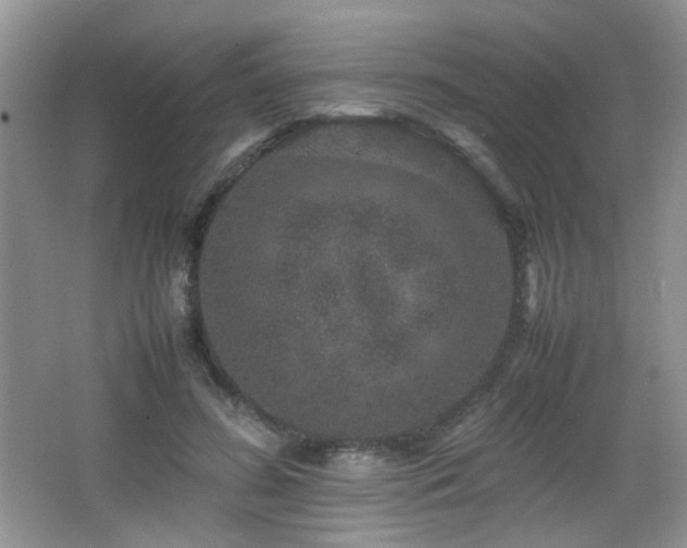 X0000065980596200603031157