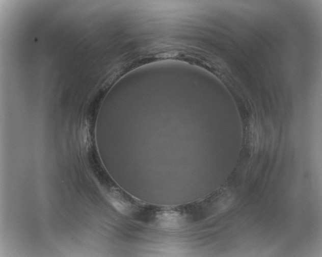 X0000065980598200603031156