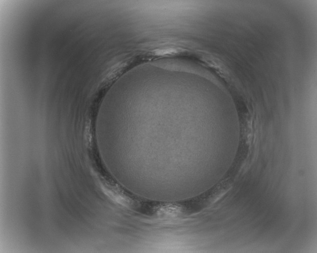 X0000065980599200603031156