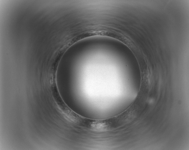 X0000065980602200603031156