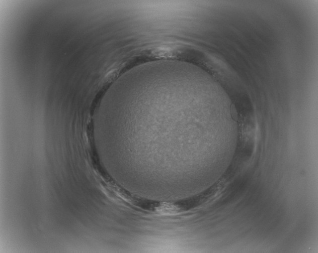 X0000065980603200603031156