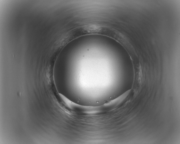 X0000065980604200603031156