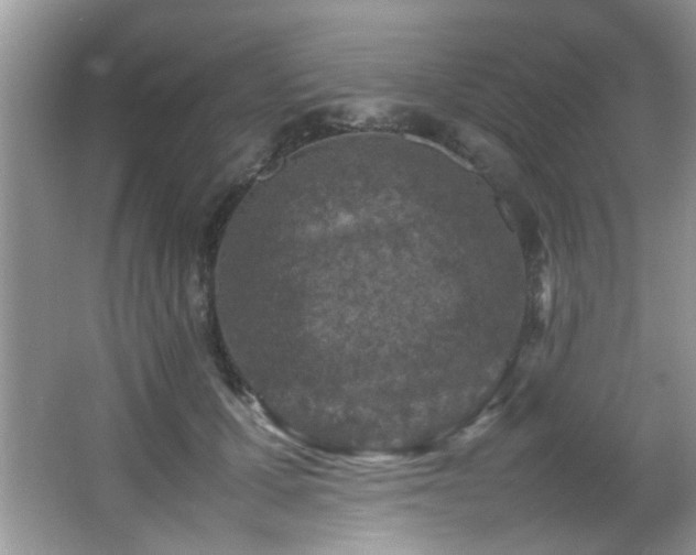 X0000065980607200603031156