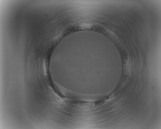 X0000065980608200603031156