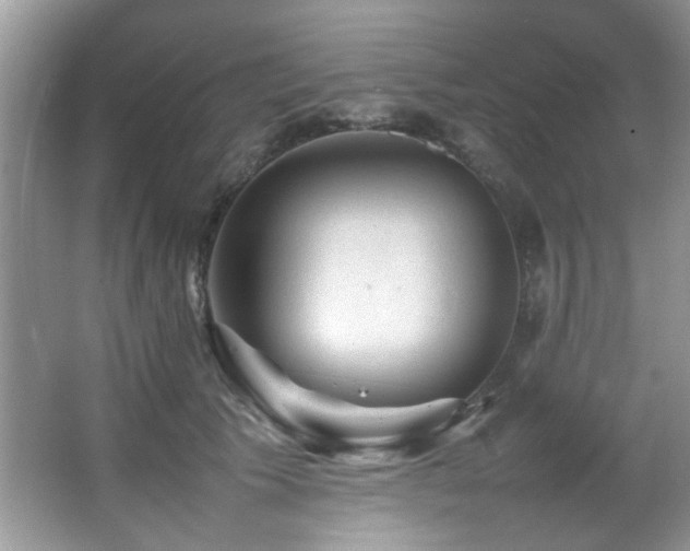 X0000065980609200603031156